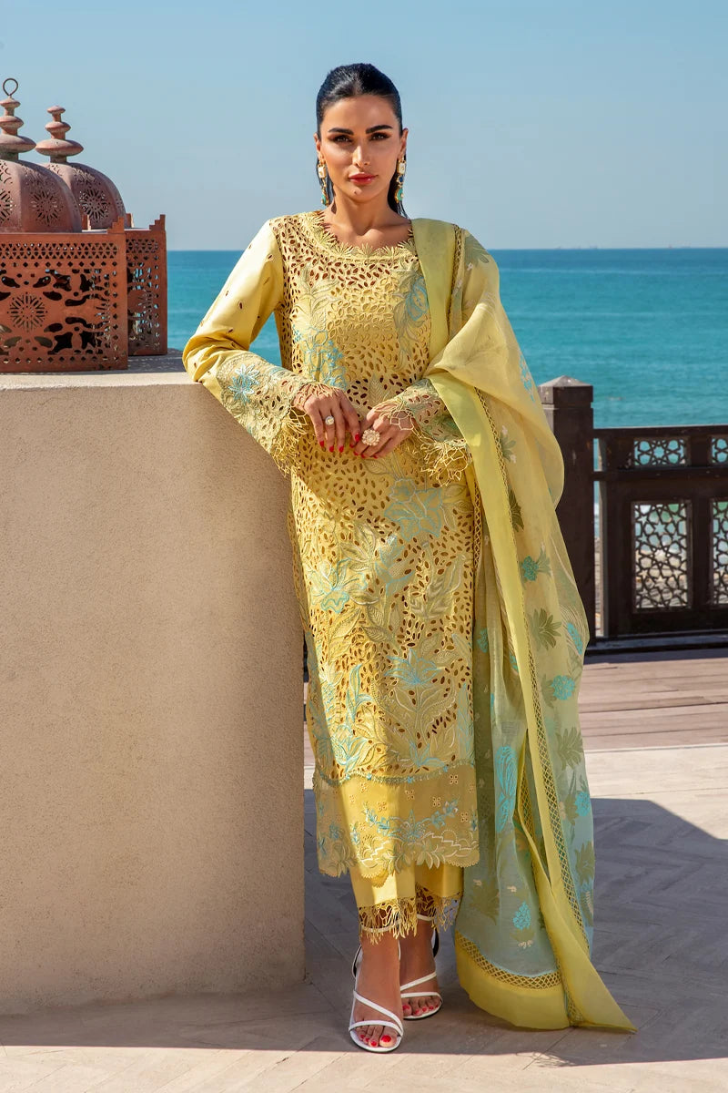 RangRasiya Premium Embroidered Lawn 3Pc Suit Summer 25 D-05 unstitched suit