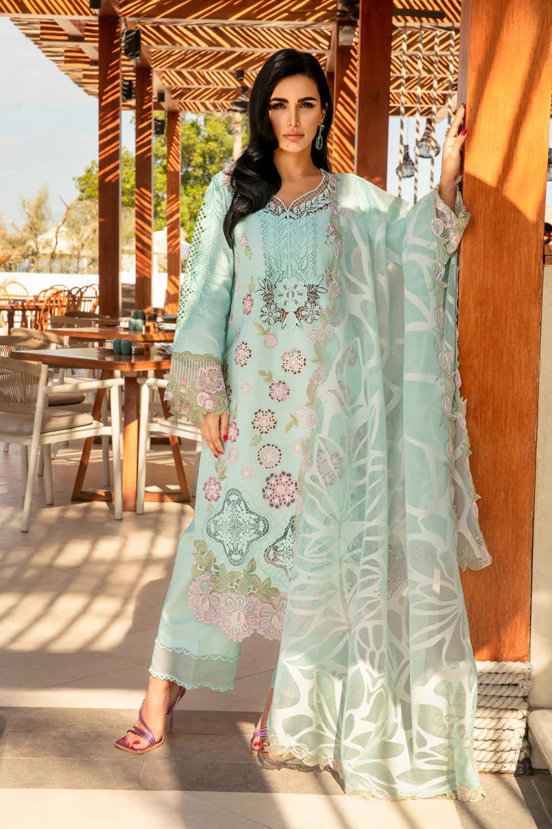 RangRasiya Premium Embroidered Lawn 3Pc Suit Summer 25 D-09 unstitched suit